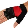 Bontrager Circuit Viper Gloves Red -black-bearing Store 185626660780f2535ebe4.55028291