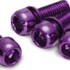 Reverse Disc Rotor Bolt Steel Purple -black-bearing Store 1860096600ed17edeef15.10377798