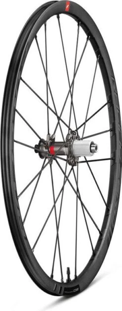 Fulcrum Racing Zero DB 700 Mm Wheelset | 12x100 - 12x142 Mm | Center Lock | 2021 -black-bearing Store 2138986615574b365f8d4.00581340