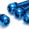 REVERSE Disc Brake Bolt Set X4 Blue