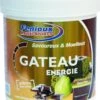Energy Cake Fenioux Energie Chocolate Pear 400g