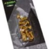 Ashima Rotor Bolts - Gold X12 -black-bearing Store ashimavisor
